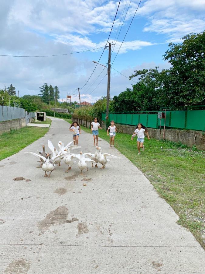 Tskaltubo Village - Nature Resort Esterno foto